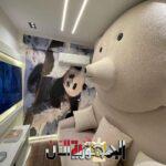 لا تترددوا بالزيارة: كافيه...